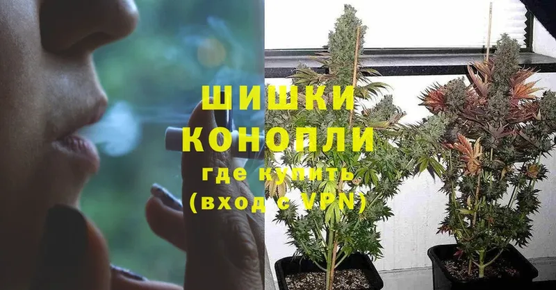 Шишки марихуана THC 21%  где найти   Багратионовск 